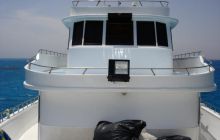 Safari St Johns - Maj 2006