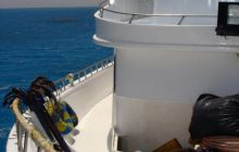 Safari St Johns - Maj 2006