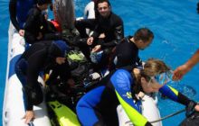 Safari St Johns - Maj 2006