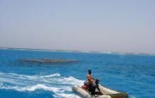 Safari St Johns - Maj 2006