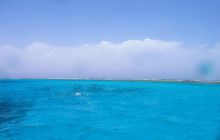 Safari St Johns - Maj 2006