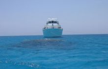 Safari St Johns - Maj 2006