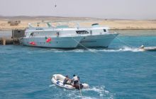 Safari St Johns - Maj 2006