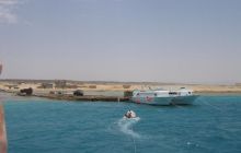 Safari St Johns - Maj 2006