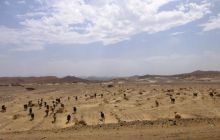 Safari St Johns - Maj 2006