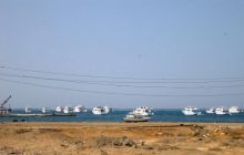 Safari St Johns - Maj 2006