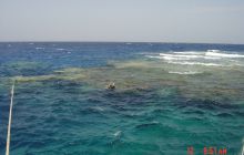 Safari St Johns - Maj 2006