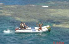 Safari St Johns - Maj 2006