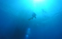 Safari St Johns - Maj 2006