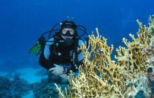 Safari St Johns - Maj 2006