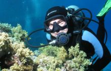 Safari St Johns - Maj 2006