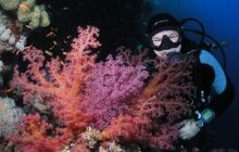 Safari St Johns - Maj 2006