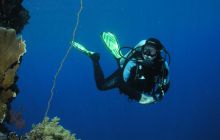 Safari St Johns - Maj 2006