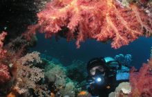 Safari St Johns - Maj 2006