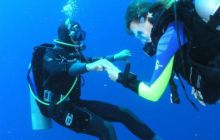 Safari St Johns - Maj 2006