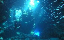 Safari St Johns - Maj 2006