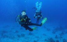 Safari St Johns - Maj 2008