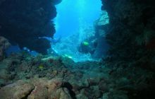 Safari St Johns - Maj 2008