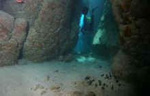 Safari St Johns - Maj 2008