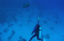 Safari St Johns - Maj 2008