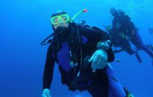 Safari St Johns - Maj 2008