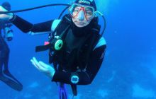 Safari St Johns - Maj 2008