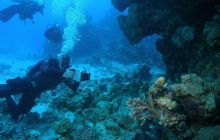 Safari St Johns - Maj 2008