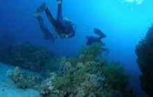 Safari St Johns - Maj 2008