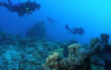 Safari St Johns - Maj 2008