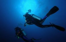 Safari St Johns - Maj 2008