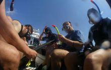 Safari St Johns - Maj 2008