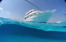 Safari St Johns - Maj 2008