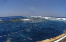 Safari St Johns - Maj 2008