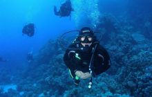 Safari St Johns - Maj 2008