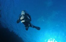 Safari St Johns - Maj 2008