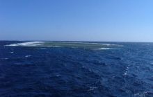 Safari St Johns - Maj 2008