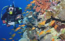 Safari St Johns - Maj 2008