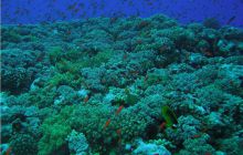 Safari St Johns - Październik 2006