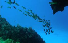 Safari St Johns - Październik 2006