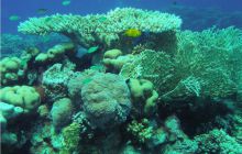 Safari St Johns - Październik 2006