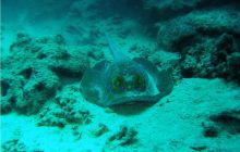 Safari St Johns - Październik 2006