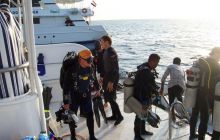 Safari St Johns - Październik 2006