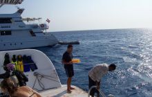 Safari St Johns - Październik 2006