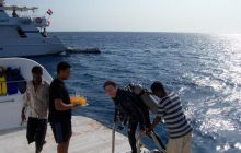 Safari St Johns - Październik 2006