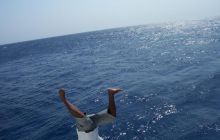 Safari St Johns - Październik 2006