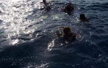 Safari St Johns - Październik 2006