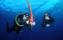 Safari St Johns - Październik 2006