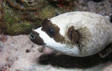 Safari St Johns - Październik 2006