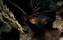 Safari St Johns - Październik 2006