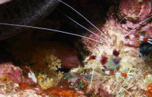 Safari St Johns - Październik 2006